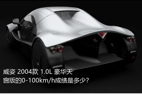 威姿 2004款 1.0L 豪华天窗版的0-100km/h成绩是多少？