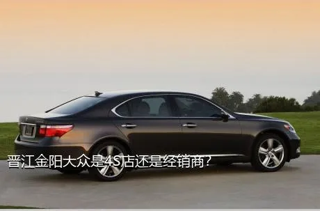 晋江金阳大众是4S店还是经销商？