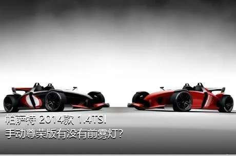 帕萨特 2014款 1.4TSI 手动尊荣版有没有前雾灯？