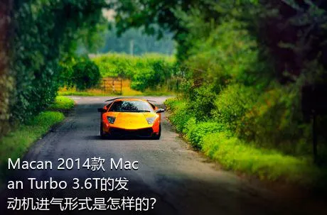 Macan 2014款 Macan Turbo 3.6T的发动机进气形式是怎样的？