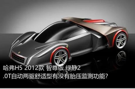 哈弗H5 2012款 智尊版 绿静2.0T自动两驱舒适型有没有胎压监测功能？