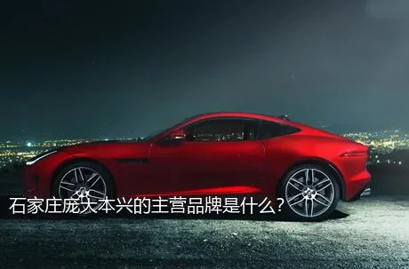 石家庄庞大本兴的主营品牌是什么？
