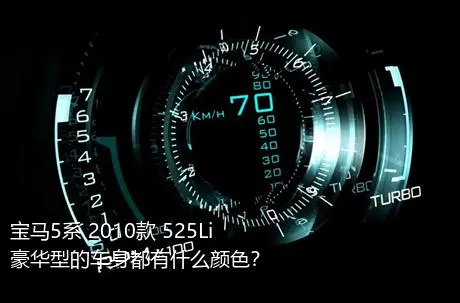 宝马5系 2010款 525Li 豪华型的车身都有什么颜色？