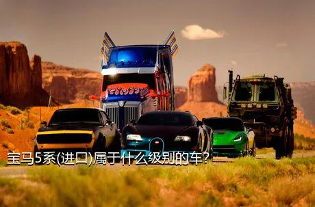 宝马5系(进口)属于什么级别的车？
