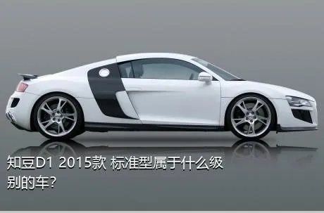 知豆D1 2015款 标准型属于什么级别的车？