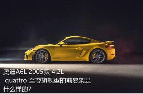 奥迪A6L 2005款 4.2L quattro 至尊旗舰型的前悬架是什么样的？