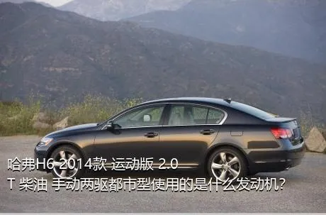 哈弗H6 2014款 运动版 2.0T 柴油 手动两驱都市型使用的是什么发动机？
