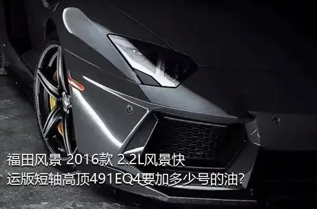 福田风景 2016款 2.2L风景快运版短轴高顶491EQ4要加多少号的油？