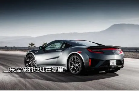山东瑞诚的地址在哪里？