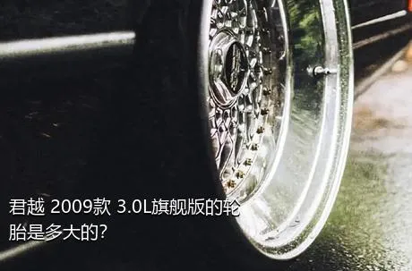 君越 2009款 3.0L旗舰版的轮胎是多大的？