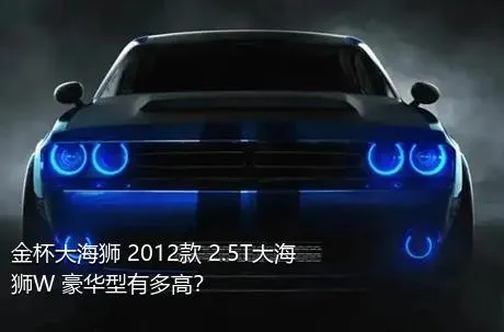 金杯大海狮 2012款 2.5T大海狮W 豪华型有多高？