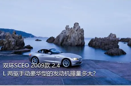双环SCEO 2009款 2.4L 两驱手动豪华型的发动机排量多大？