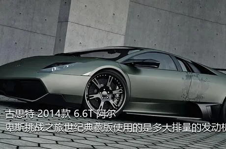 古思特 2014款 6.6T 阿尔卑斯挑战之旅世纪典藏版使用的是多大排量的发动机？