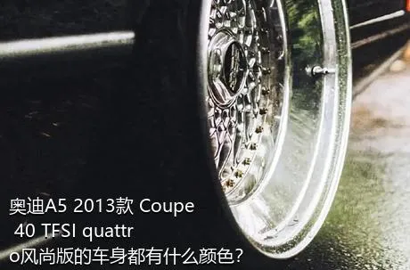 奥迪A5 2013款 Coupe 40 TFSI quattro风尚版的车身都有什么颜色？