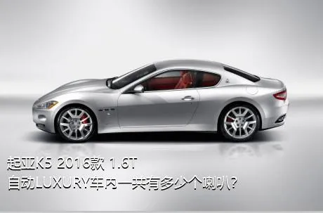 起亚K5 2016款 1.6T 自动LUXURY车内一共有多少个喇叭？