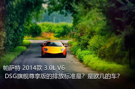 帕萨特 2014款 3.0L V6 DSG旗舰尊享版的排放标准是？是欧几的车？