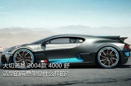 大切诺基 2004款 4000 舒适型的前悬架是什么样的？