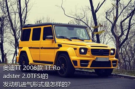 奥迪TT 2008款 TT Roadster 2.0TFSI的发动机进气形式是怎样的？