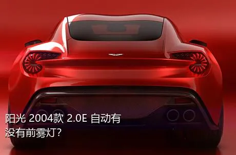 阳光 2004款 2.0E 自动有没有前雾灯？