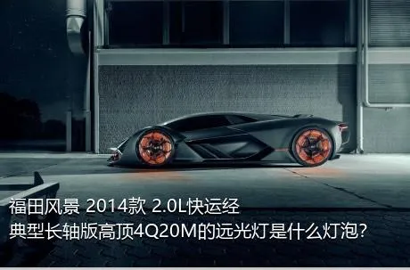 福田风景 2014款 2.0L快运经典型长轴版高顶4Q20M的远光灯是什么灯泡？