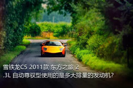 雪铁龙C5 2011款 东方之旅 2.3L 自动尊驭型使用的是多大排量的发动机？