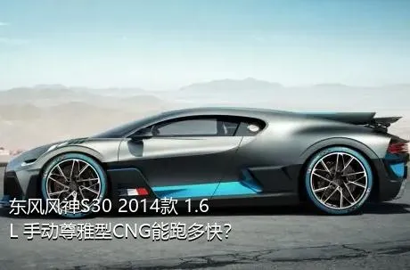 东风风神S30 2014款 1.6L 手动尊雅型CNG能跑多快？