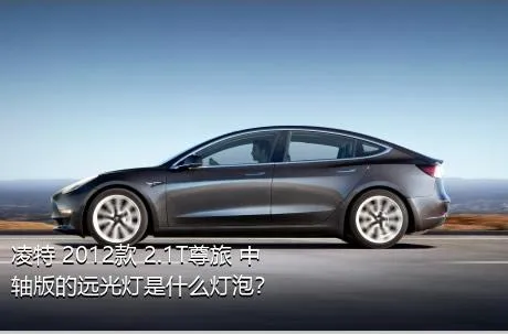 凌特 2012款 2.1T尊旅 中轴版的远光灯是什么灯泡？