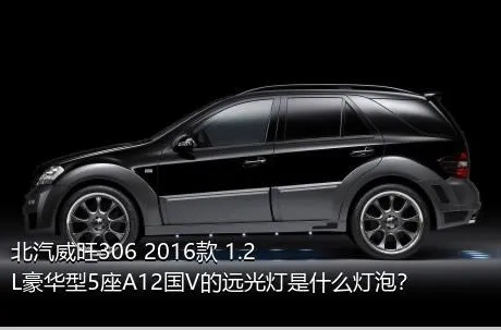 北汽威旺306 2016款 1.2L豪华型5座A12国V的远光灯是什么灯泡？