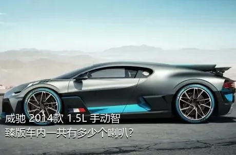 威驰 2014款 1.5L 手动智臻版车内一共有多少个喇叭？