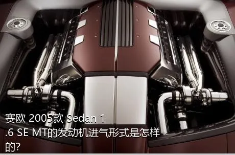 赛欧 2005款 Sedan 1.6 SE MT的发动机进气形式是怎样的？