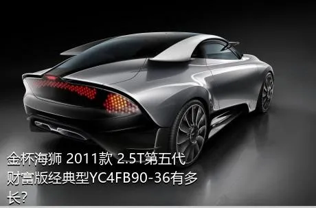 金杯海狮 2011款 2.5T第五代财富版经典型YC4FB90-36有多长？
