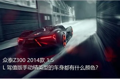 众泰Z300 2014款 1.5L 驾值版手动精英型的车身都有什么颜色？
