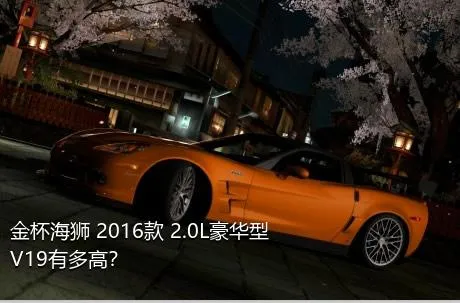 金杯海狮 2016款 2.0L豪华型V19有多高？