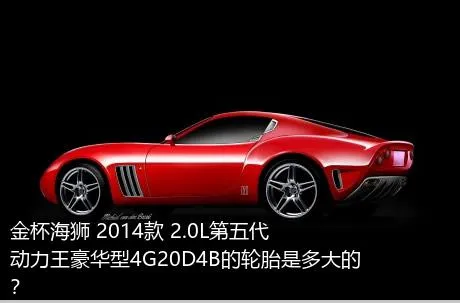 金杯海狮 2014款 2.0L第五代动力王豪华型4G20D4B的轮胎是多大的？