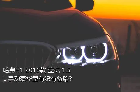 哈弗H1 2016款 蓝标 1.5L 手动豪华型有没有备胎？