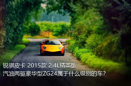 锐骐皮卡 2015款 2.4L精英版汽油两驱豪华型ZG24属于什么级别的车？