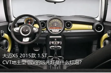大迈X5 2015款 1.5T CVT地主型 国V的远光灯是什么灯泡？