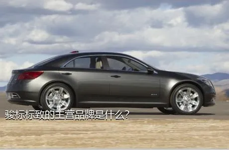 骏标标致的主营品牌是什么？
