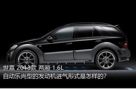 世嘉 2013款 两厢 1.6L 自动乐尚型的发动机进气形式是怎样的？