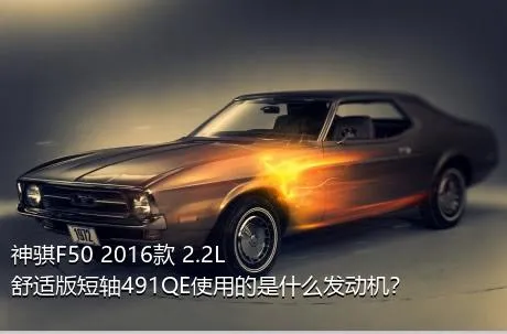 神骐F50 2016款 2.2L舒适版短轴491QE使用的是什么发动机？