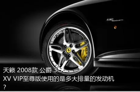 天籁 2008款 公爵 3.5L XV VIP至尊版使用的是多大排量的发动机？