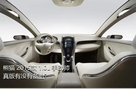 熊猫 2015款 1.0L 手动帅真版有没有备胎？
