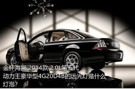 金杯海狮 2014款 2.0L第五代动力王豪华型4G20D4B的远光灯是什么灯泡？
