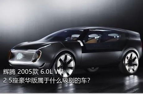 辉腾 2005款 6.0L W12 5座豪华版属于什么级别的车？
