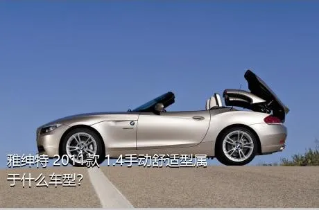 雅绅特 2011款 1.4手动舒适型属于什么车型？