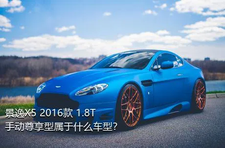 景逸X5 2016款 1.8T 手动尊享型属于什么车型？