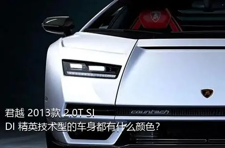 君越 2013款 2.0T SIDI 精英技术型的车身都有什么颜色？
