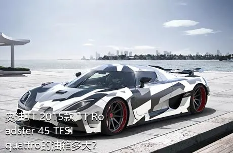 奥迪TT 2015款 TT Roadster 45 TFSI quattro的油箱多大？
