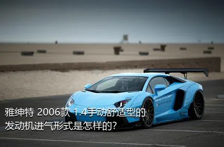 雅绅特 2006款 1.4手动舒适型的发动机进气形式是怎样的？