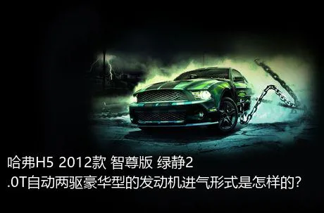 哈弗H5 2012款 智尊版 绿静2.0T自动两驱豪华型的发动机进气形式是怎样的？
